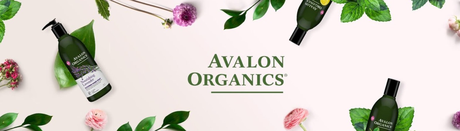 Avalon Organics - Shower Gels