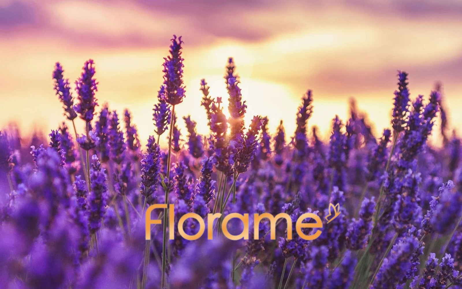 Florame - AROMATHERAPY