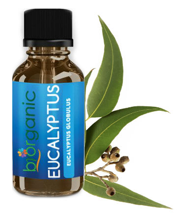 https://www.organicbrands.gr/el/product/1784/biorganic-eucalyptus-essential-oil?sz=22