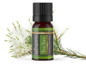 Biorganic Βιολογικό Αιθέριο Έλαιο Τεϊόδεντρου / Organic Tea Tree Essential Oil